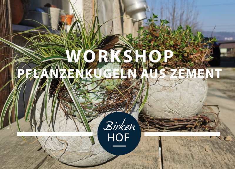 Workshop – Pflanzen Kugeln aus Zement | Do. 15. September 2022